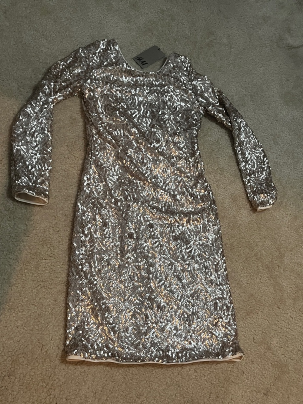 H&M Silver Sequin Long Sleeve Sheath Dress